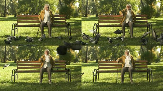 脾气暴躁的老太太赶走鸽子，坐在公园的长椅上，不快乐的老人