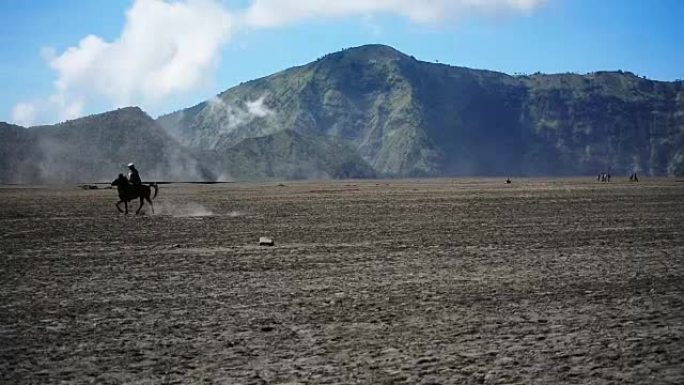 高清: 布罗莫火山的游客骑马