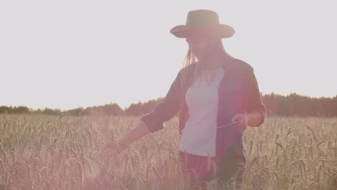 戴着帽子和格子衬衫的女农夫触摸黑麦的发芽和种子，检查并将数据输入平板电脑。日落时分