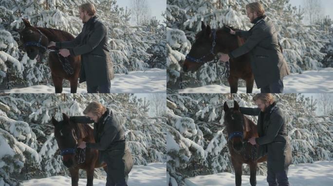 一个年轻人在白雪覆盖的圣诞树和松树的背景下在户外抚摸一匹马。