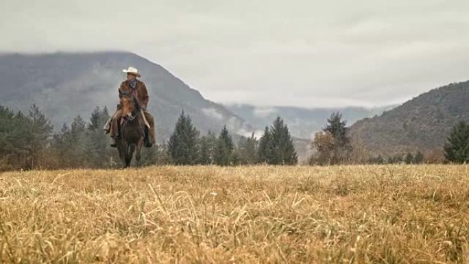 DS牛仔骑着一匹棕色的马在山上骑马