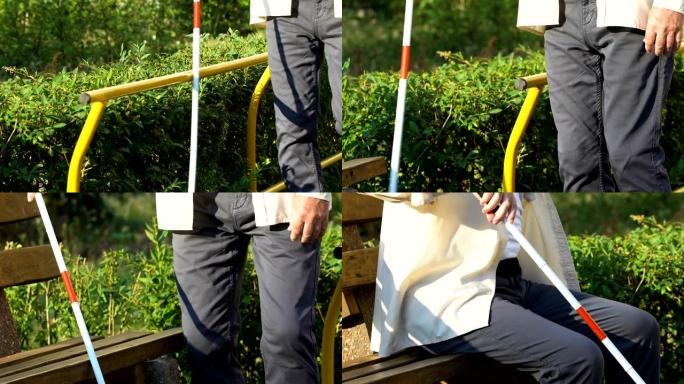 有视力障碍的成熟男人在甘蔗的帮助下在公园里寻找长凳
