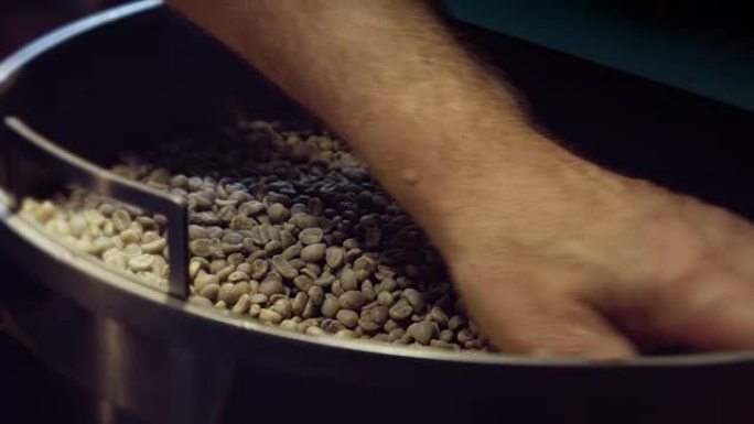咖啡烘焙师检查生咖啡豆