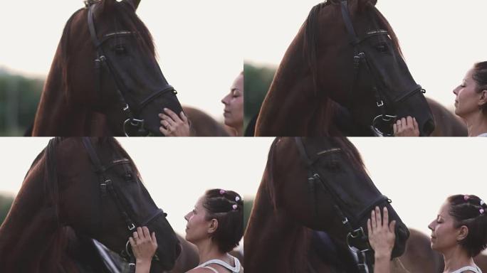 女孩在抚摸马女孩在抚摸马