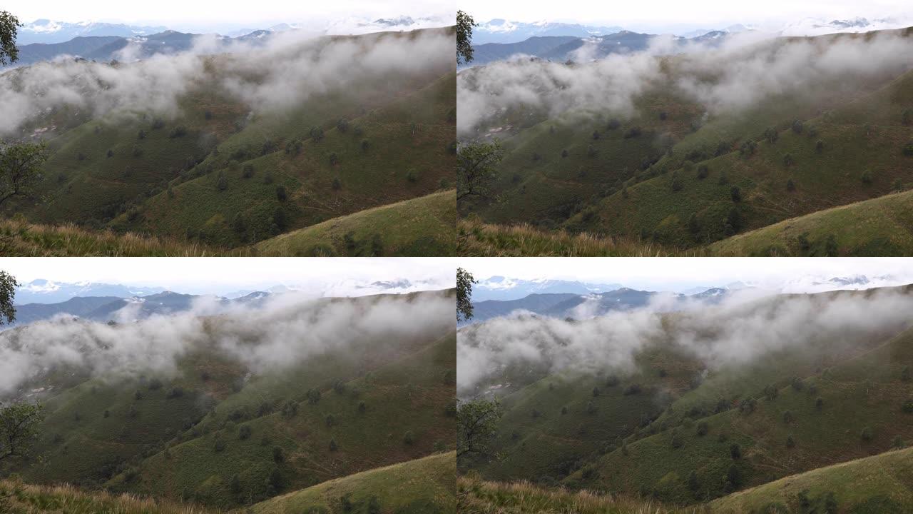 爬山坡的雾岸的风景