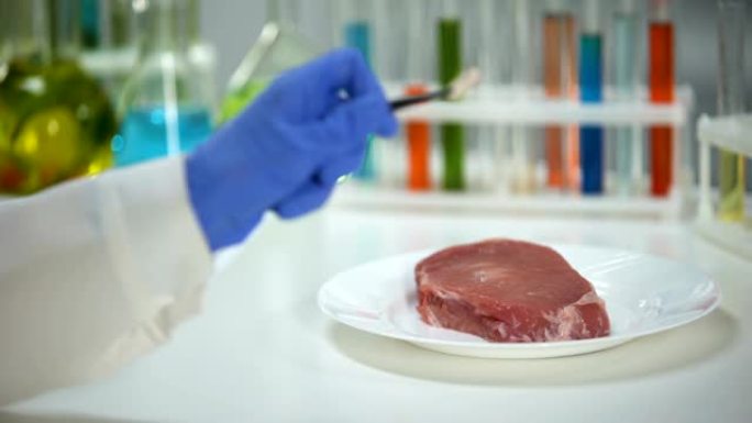 兽医实验室工作人员拿着胶囊，肉样本的背景，药物测试