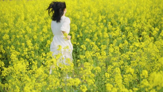 唯美清新女生田间奔跑背影春游踏青向往自由