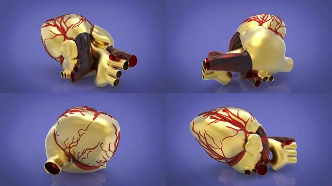 人工人类心脏三维渲染模型