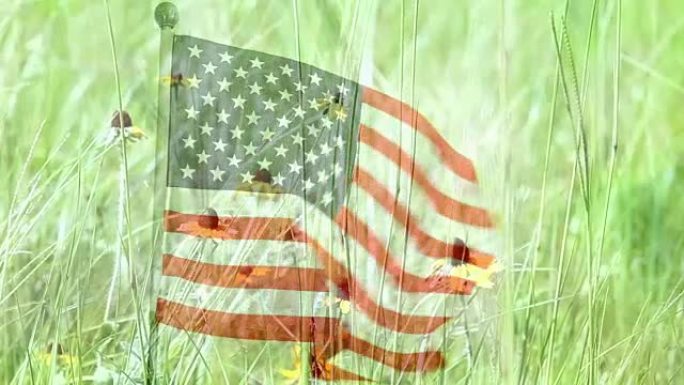微风中飘扬的美国国旗。