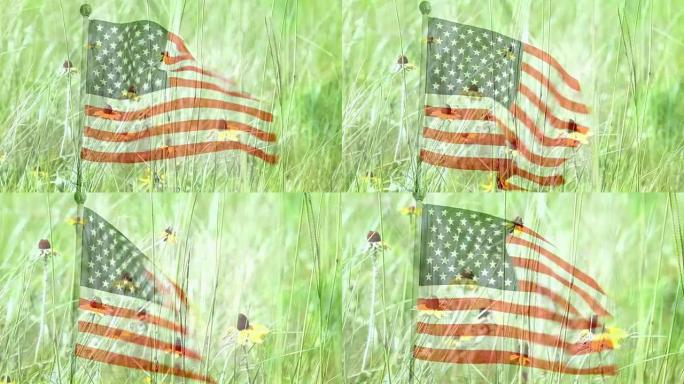 微风中飘扬的美国国旗。