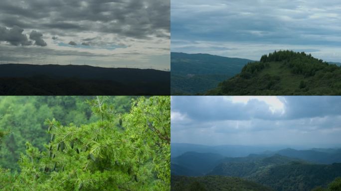 关山 树林 华山松 沙参 日落