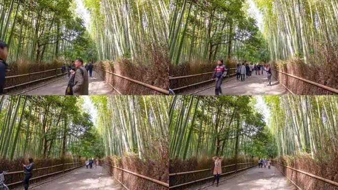 时间流逝: 日本京都岚山的竹林