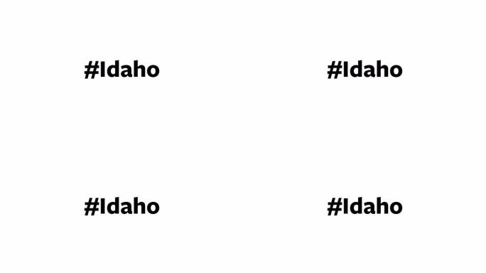 一个人在他们的电脑屏幕上输入 “# Idaho”