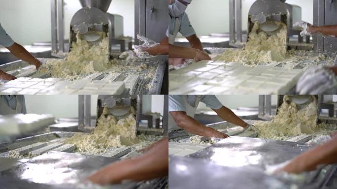 在一家乳品厂生产奶酪的无法识别的人