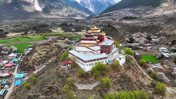 西藏的寺庙