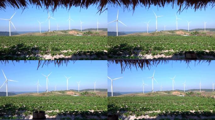 4K: 在明亮的天空背景上冲浪的风力涡轮机农场