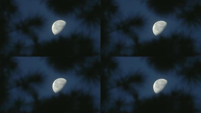 4K: 夜晚的月亮