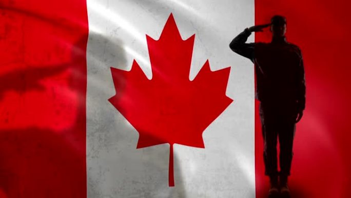 加拿大士兵侧影向国旗敬礼，军士改革
