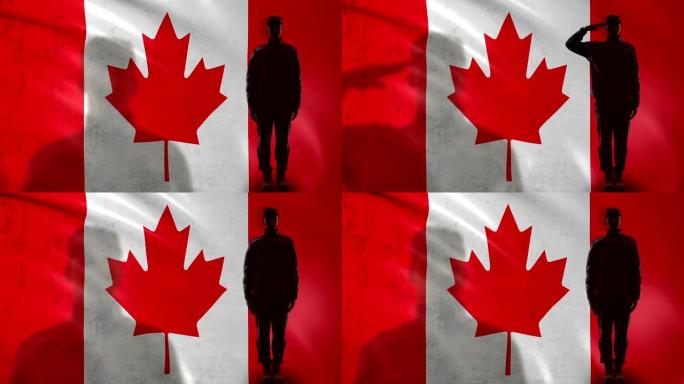 加拿大士兵侧影向国旗敬礼，军士改革