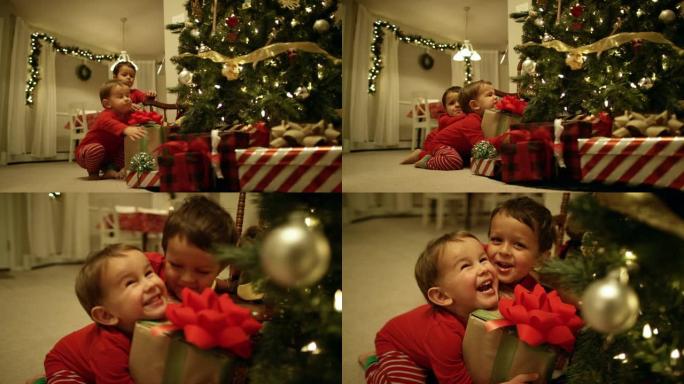 两个穿着睡衣的白人男孩 (三岁和五岁) 跑到圣诞树上，在圣诞节那天兴奋地从圣诞树下拿起圣诞礼物