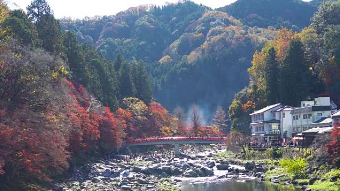 在日本爱知县Korankei，红桥上有五颜六色的秋叶的人群。