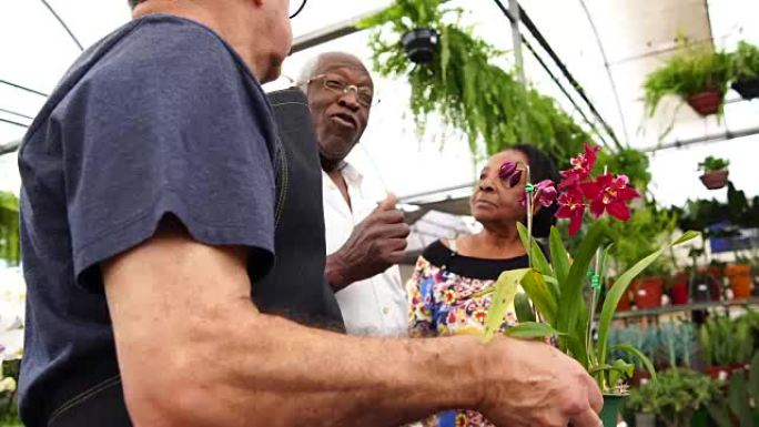 成熟的非洲夫妇顾客在花卉市场购买