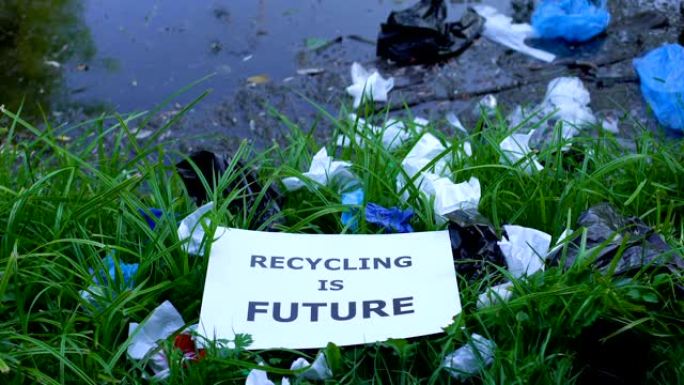 女人扔纸板回收是森林垃圾填埋场的未来用语