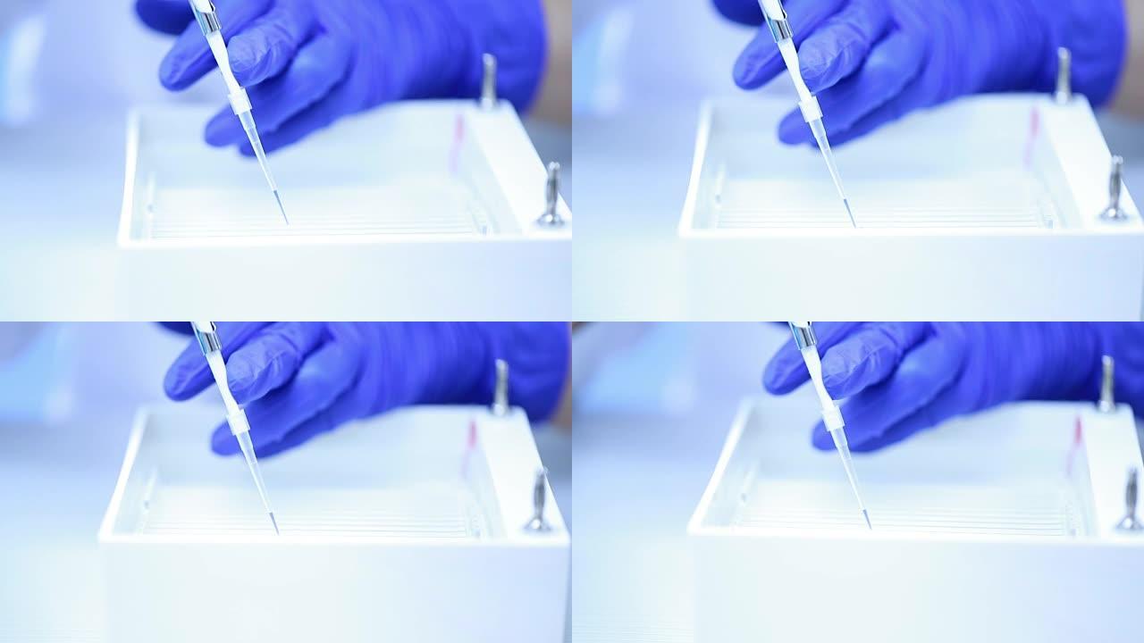科学家正在将DNA混合在parafilm上并加载到琼脂糖中，慢动作