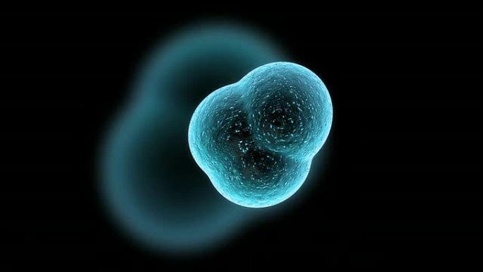 细胞繁殖细胞粒子汇聚精子卵子