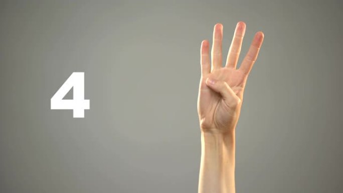 手签0到10个数字在asl，聋人手语教程