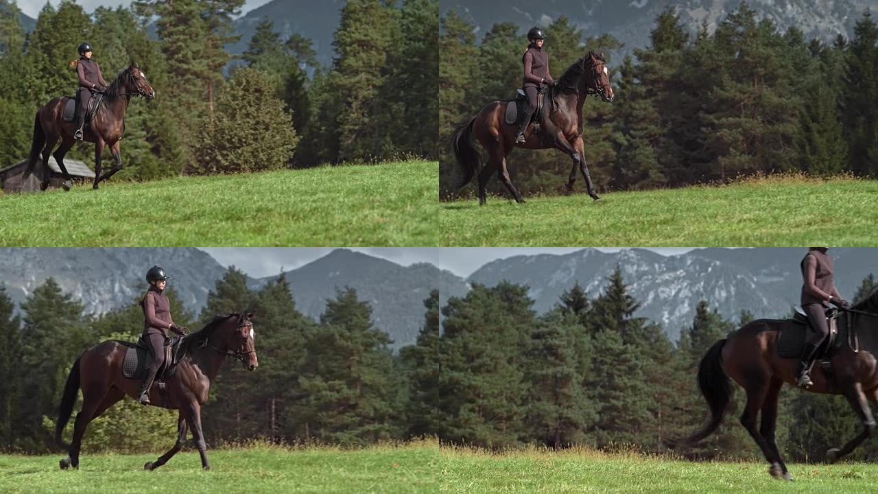 SLO MO女人骑着奔马在阳光明媚的山间草地上