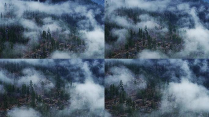蒙大拿州库卡努萨湖上的雾花环树木-无人机射击