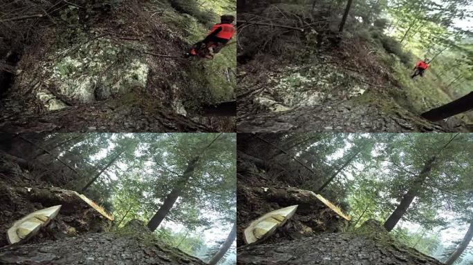 伐木工人通过敲击楔形砍伐树木