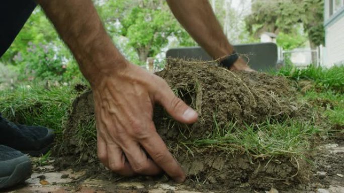 一个高加索人的手在住宅后院捡起一堆草草皮