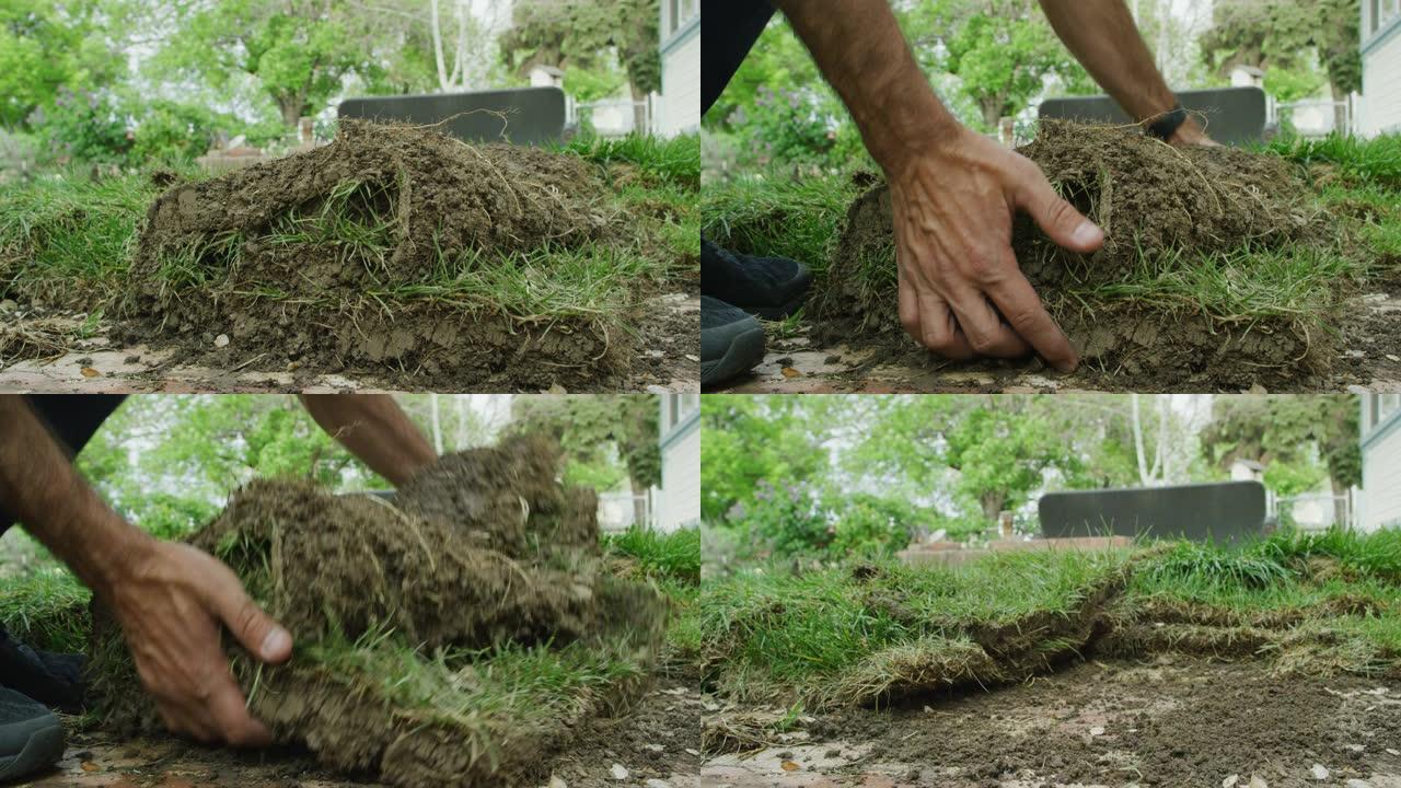 一个高加索人的手在住宅后院捡起一堆草草皮