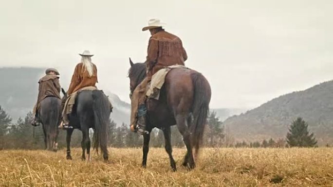 DS两名牛仔和一名女牛仔骑在山上