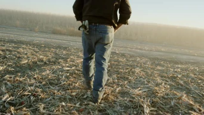 一位50多岁的拉丁裔农民在日落时收获时走过玉米田