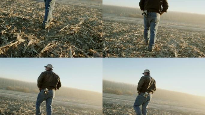 一位50多岁的拉丁裔农民在日落时收获时走过玉米田