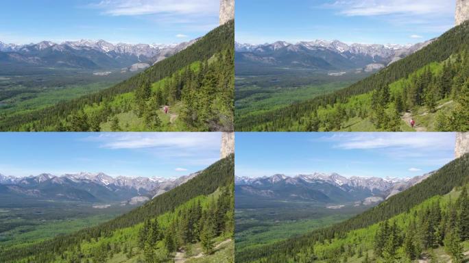 山和森林的鸟瞰图