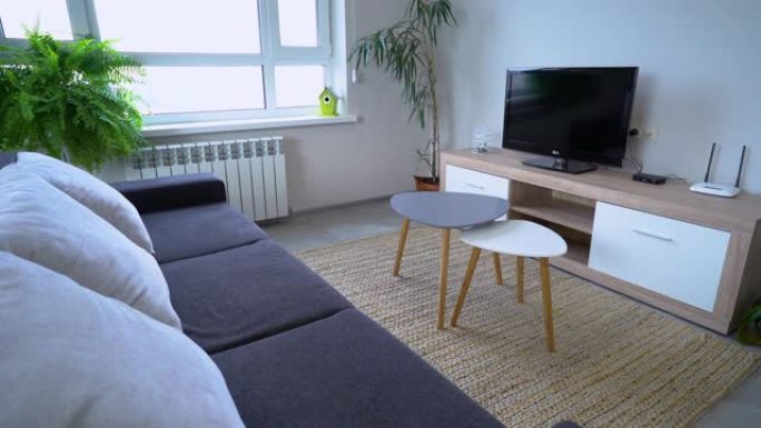 电视前的大沙发，斯堪的纳维亚室内设计细节，家居舒适