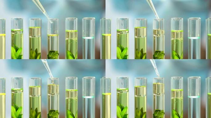 生物学家在试管中向植物中添加油性液体，对环境污染产生影响