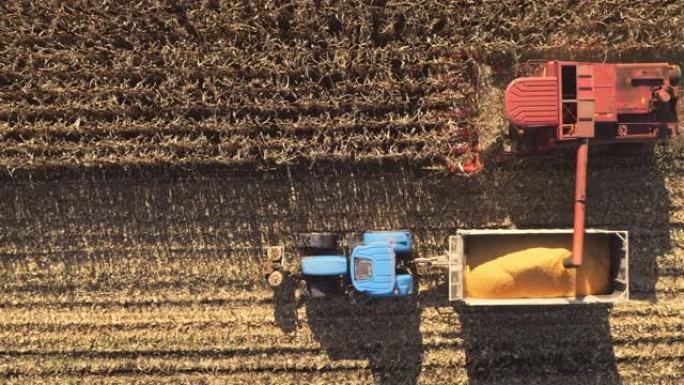空中联合收割机在切割玉米秸秆的同时填充拖拉机拖车