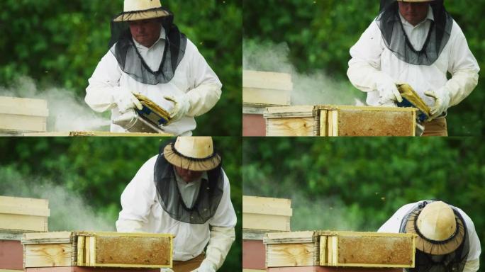 三十多岁的高加索养蜂人戴着养蜂帽，面纱和手套，在户外的木箱蜂箱旁边拿着吸烟者和风箱