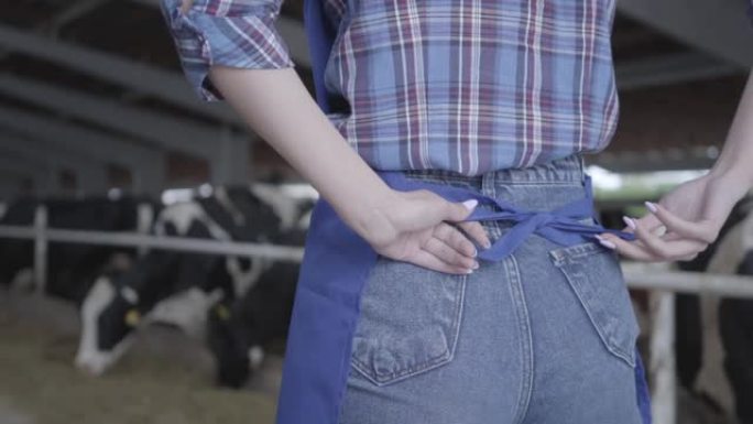 无法识别的年轻女工在养牛场上班前系好围裙。