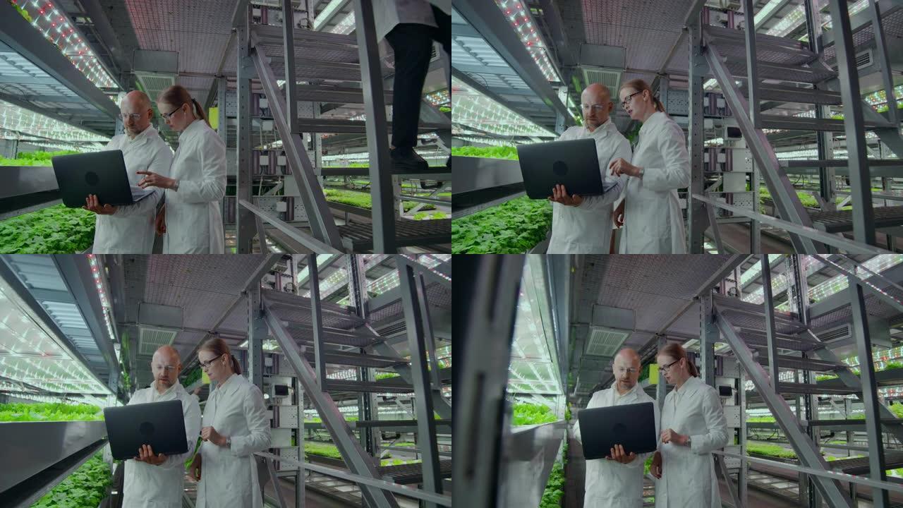 现代微生物学实验室，两位科学家拿着笔记本电脑讨论转基因产品的研究结果。