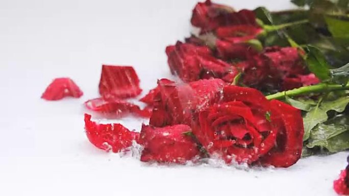 水滴落在红玫瑰上的慢动作