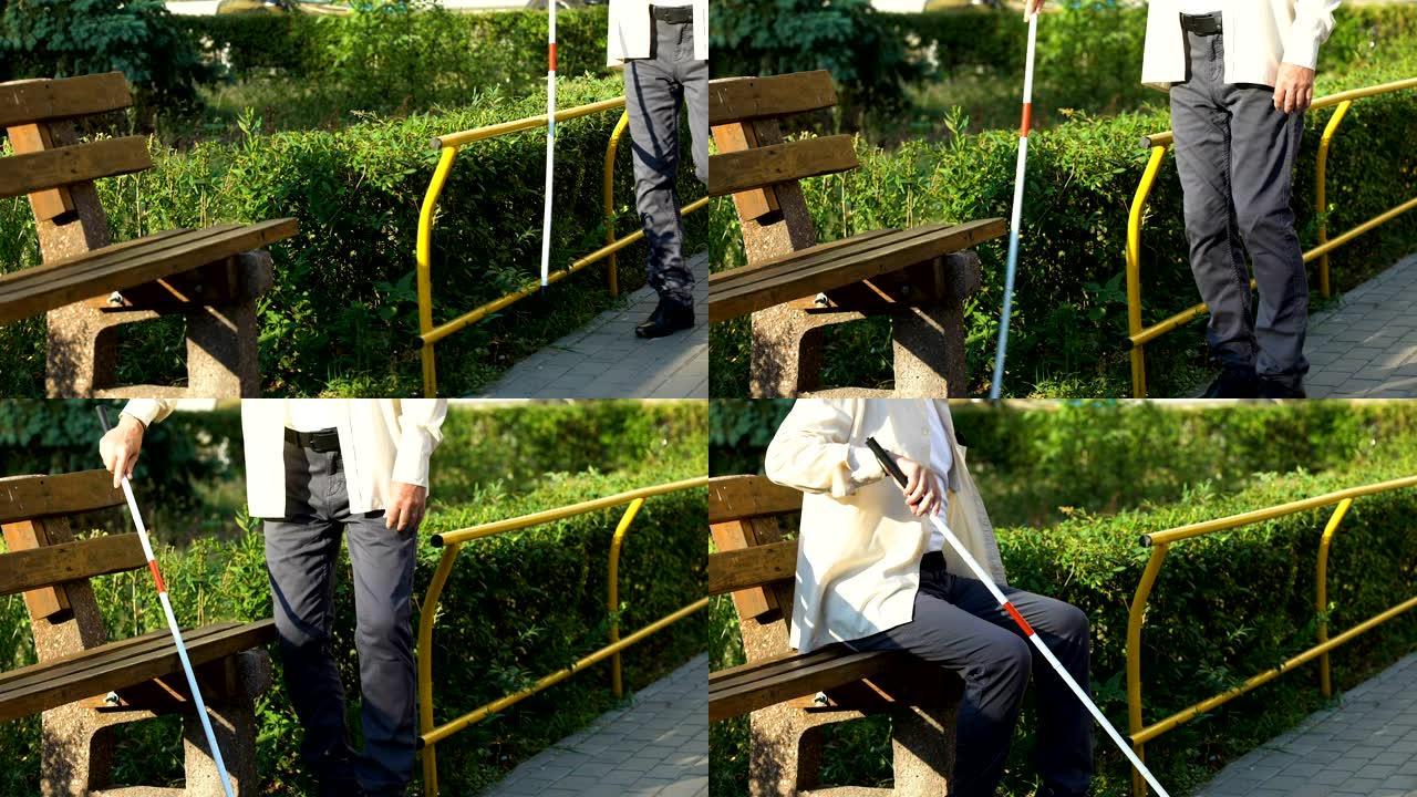 盲人用白色藤条触摸篱笆，找到长凳，在夏季公园休息
