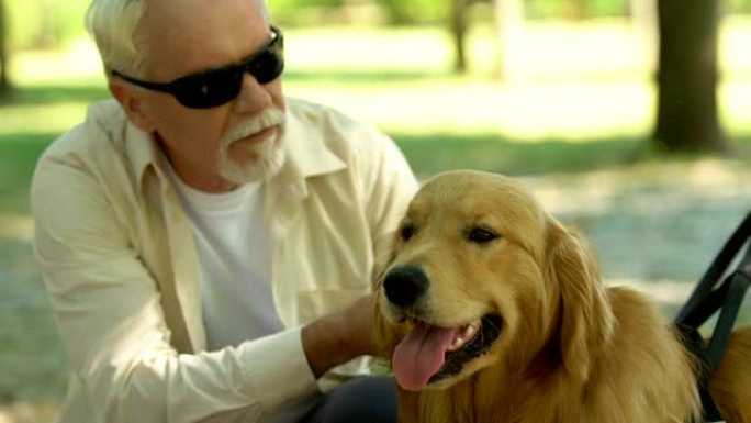 盲人主人喂养和抚摸他的导盲犬，最好的朋友和帮助