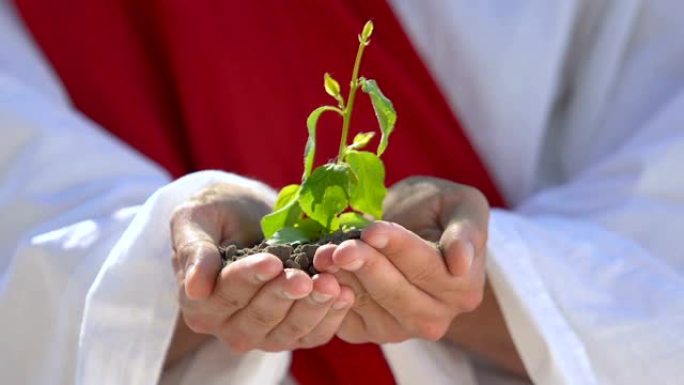 白袍手握植物，世界创造，资源保护