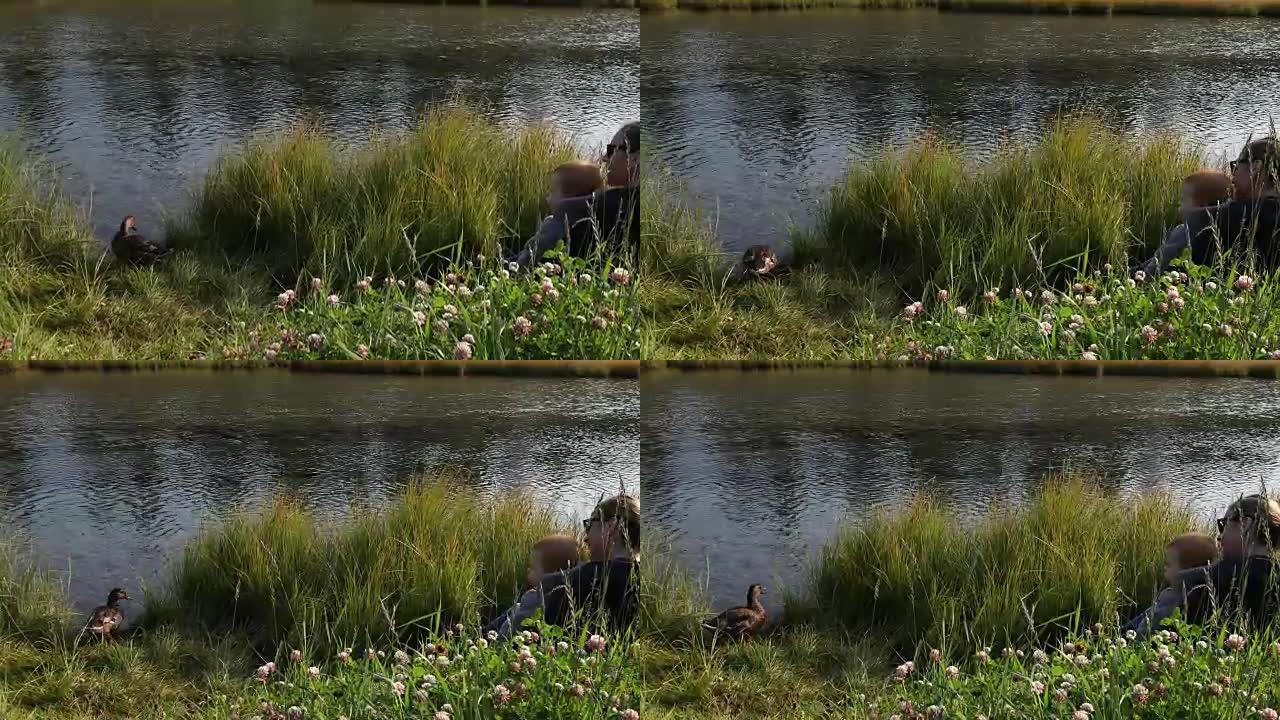 母亲和男婴看着鸭子在山溪中漂浮